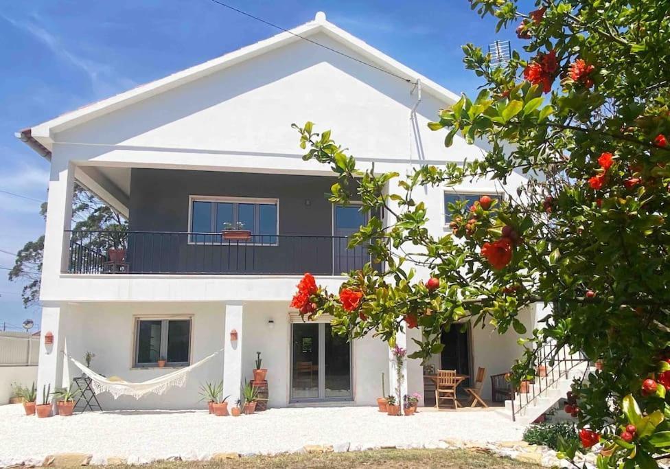 Terra Da Lagoa - Villa Near The Beach & LagoonNadadouro エクステリア 写真
