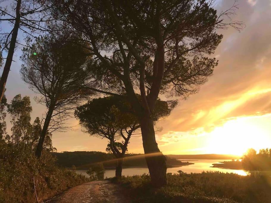 Terra Da Lagoa - Villa Near The Beach & LagoonNadadouro エクステリア 写真