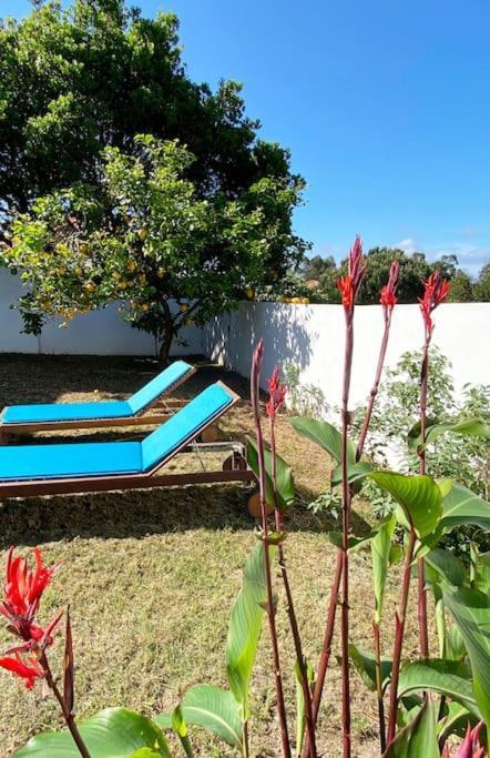 Terra Da Lagoa - Villa Near The Beach & LagoonNadadouro エクステリア 写真